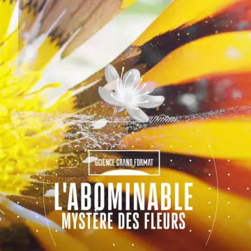 SCIENCE GRAND FORMAT-L'ABOMINABLE MYSTÈRE DES FLEURS