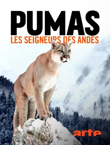 PUMAS, LES SEIGNEURS DES ANDES