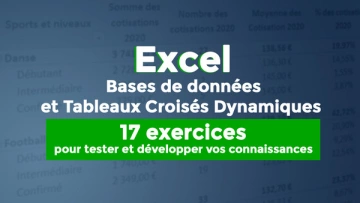 Bases de données et Tableaux Croisés Dynamiques : 17 exercices pour tester ou développer               vos connaissances [Tutoriels]