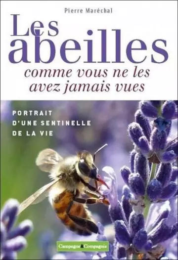 LES ABEILLES COMME VOUS NE LES AVEZ JAMAIS VUES  [Livres]