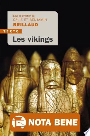 Les vikings Calie Brillaud  [Livres]