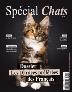 Spécial Chats N.65 - Octobre-Novembre-Décembre 2024  [Magazines]