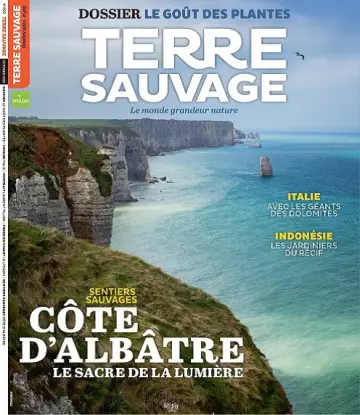 Terre Sauvage N°405 – Octobre 2022  [Magazines]