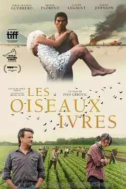 Les Oiseaux Ivres  [WEB-DL 720p] - FRENCH