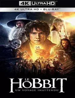 Le Hobbit : un voyage inattendu  [BLURAY REMUX 4K] - MULTI (FRENCH)