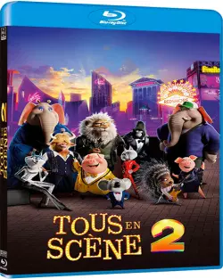 Tous en scène 2  [HDLIGHT 720p] - FRENCH