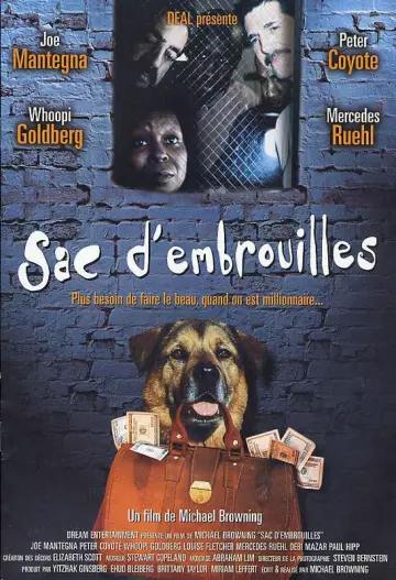 Sac d'embrouilles  [DVDRIP] - FRENCH