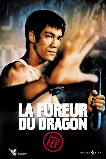 La Fureur du dragon  [HDLIGHT 1080p] - MULTI (FRENCH)