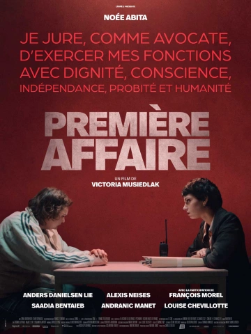 Première Affaire [WEB-DL 1080p] - FRENCH