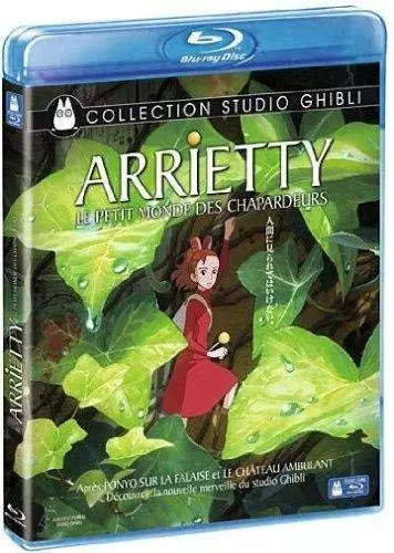 Arrietty le petit monde des chapardeurs  [HDLIGHT 1080p] - MULTI (FRENCH)