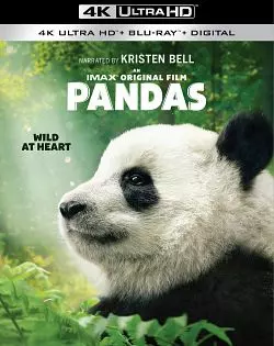 Pandas  [BLURAY REMUX 4K] - MULTI (TRUEFRENCH)