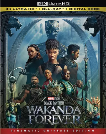 Black Panther : Wakanda Forever  [WEB-DL 4K] - MULTI (TRUEFRENCH)