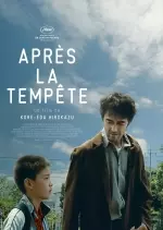 Après la tempête  [BDRIP] - FRENCH