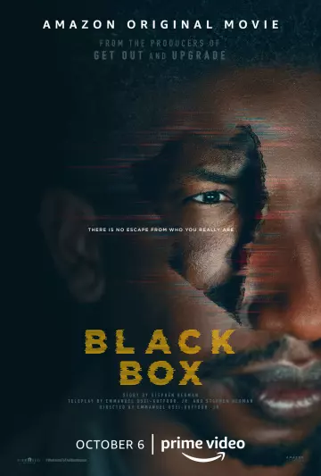 Black Box  [WEB-DL 720p] - FRENCH