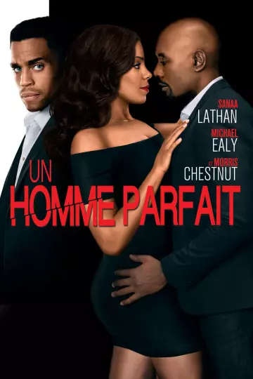 Un Homme Parfait  [BLU-RAY 1080p] - MULTI (FRENCH)