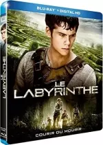 Le Labyrinthe  [Blu-Ray 720p] - MULTI (TRUEFRENCH)