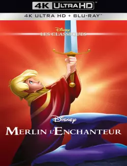 Merlin l'enchanteur  [WEB-DL 4K] - MULTI (TRUEFRENCH)