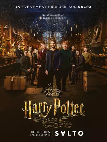 Harry Potter : Retour à Poudlard  [HDRIP] - VOSTFR