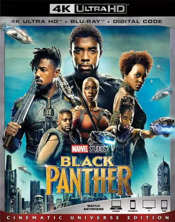 Black Panther  [HDRIP 4K] - MULTI (TRUEFRENCH)