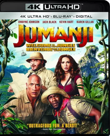 Jumanji : Bienvenue dans la jungle  [4K LIGHT] - MULTI (TRUEFRENCH)