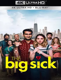 The Big Sick  [WEB-DL 4K] - MULTI (FRENCH)