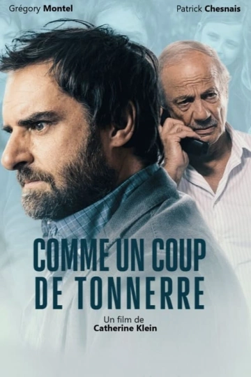 Comme un coup de tonnerre (dans un ciel sans nuage) [WEB-DL 1080p] - FRENCH