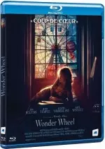 Wonder Wheel  [BLU-RAY 720p] - FRENCH