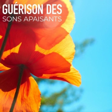 Relaxation Sommeil et Détente - Guérison des Sons Apaisants  [Albums]