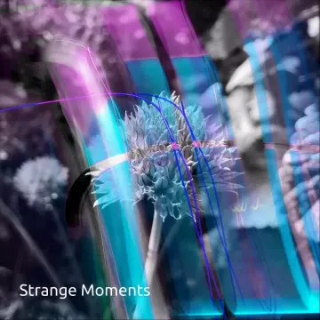 Strange Moments - Strange Moments  [Albums]